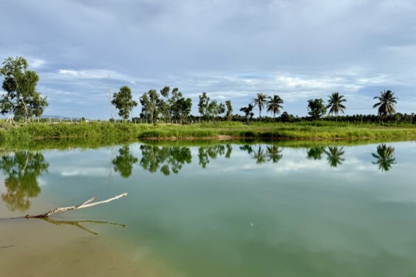 Clouds mirrored on the pond